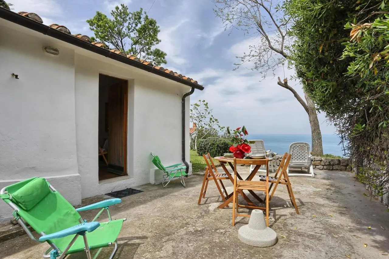 Apartament Studio La Gorgona Zanca