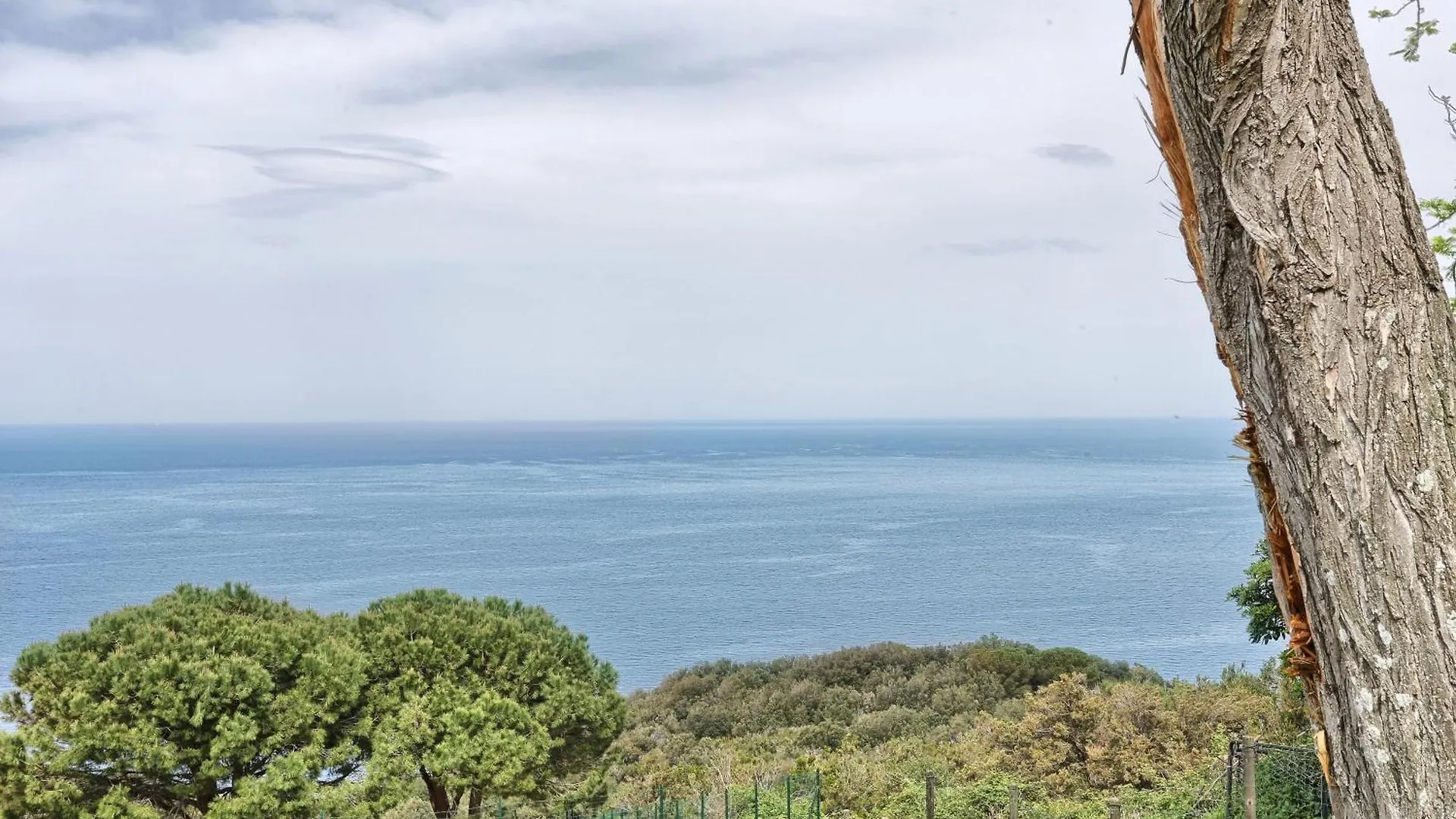 Appartamento Studio La Gorgona Zanca Italia
